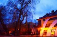 /album/fenykepgaleria/dsc-0016-jpg/
